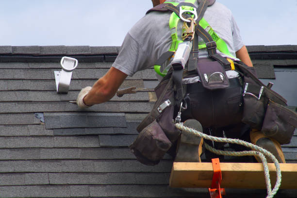 Best Roof Moss and Algae Removal  in San Martin, CA